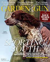 Dec-Jan-2016-Sporting-South-Cover-216