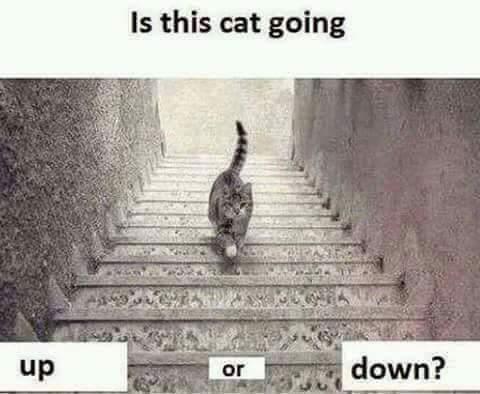 Which Way Are You Going?
