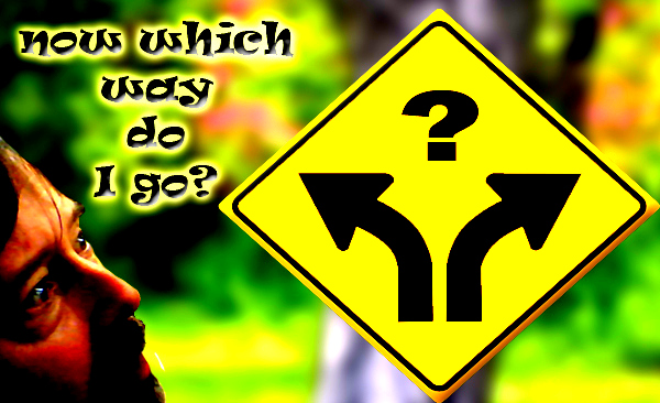 Now Which Way?