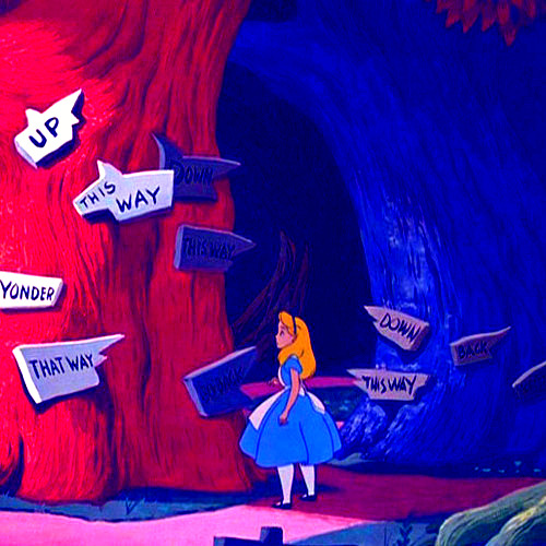 Which Way Are You Going?