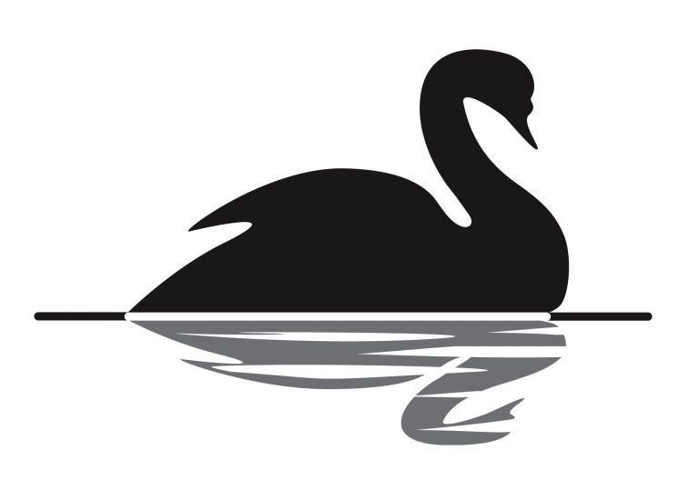 A New Black Swan Event?